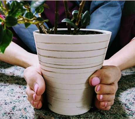 scentofasilkytoe heiße kostenlose galerien