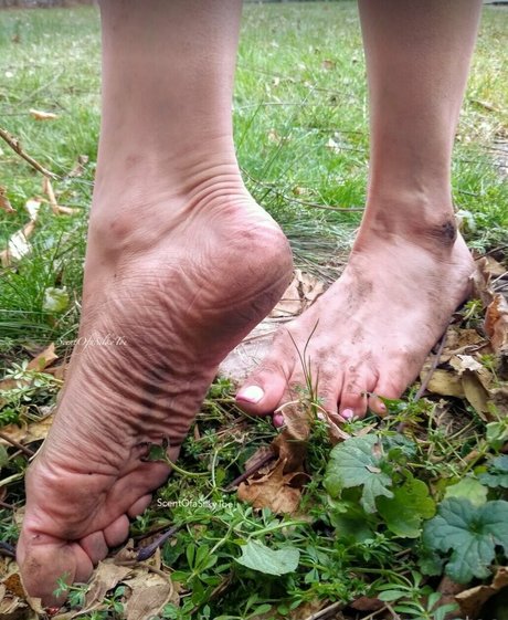 scentofasilkytoe porno erwachsene galerien