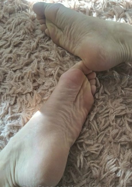 scentofasilkytoe porno nackt fotos
