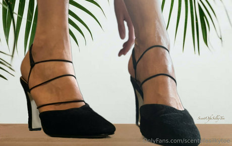 scentofasilkytoe erwachsene kunst galerie