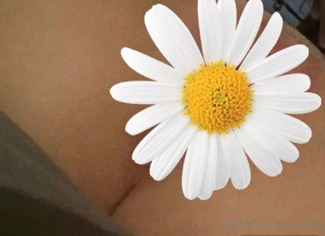 cowgirlvip schöne akt fotos