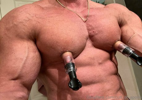 cult of apollo heiße galerie