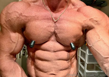 cult of apollo perfekte sexy galerien