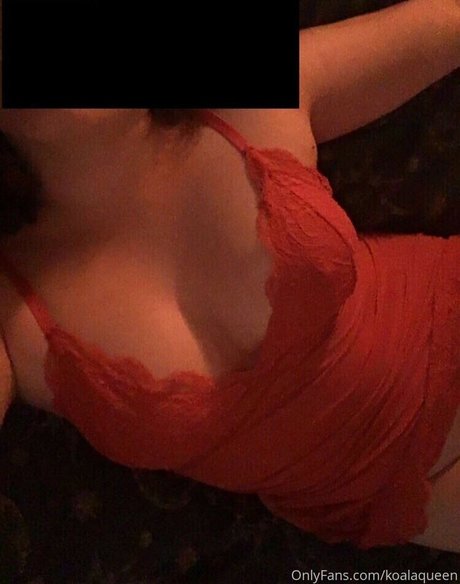 Bailey Grey beste kostenlose bild