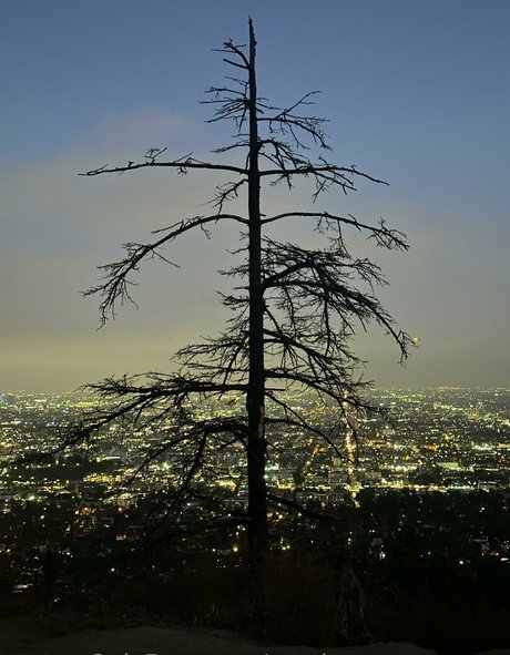 austinsummersnow top pornographische galerie