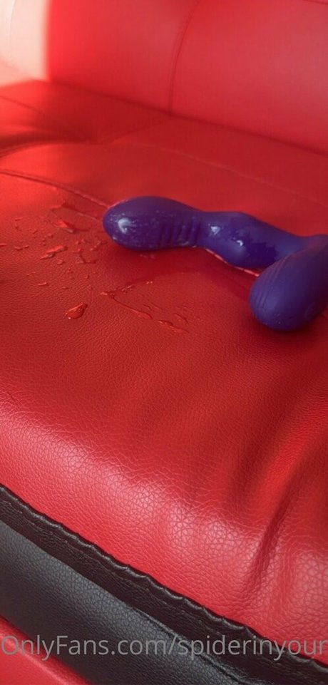 spiderinyourgarden top exklusive bild