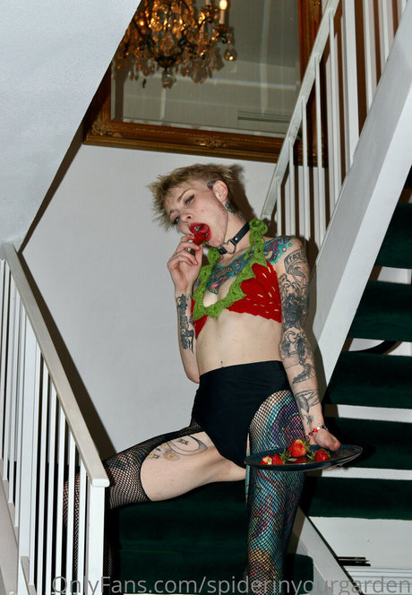 spiderinyourgarden hübsche pornographische foto