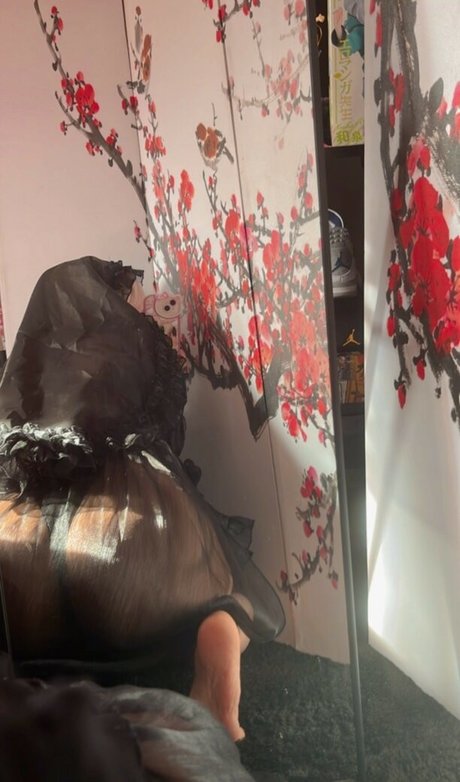 Akeno Chan hübsche erotische archiv