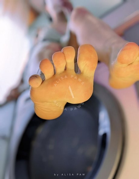 Alisa Paws model schöne archiv