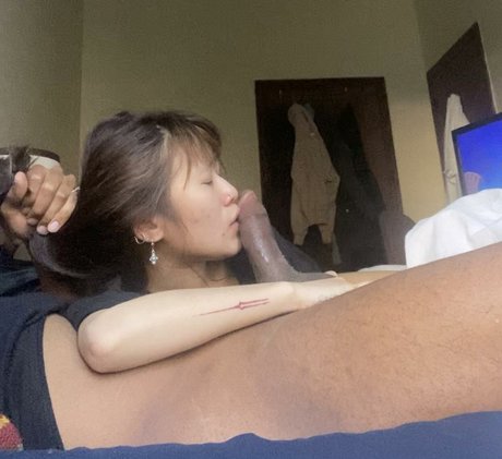 Bitbirdies kunst nette galerien