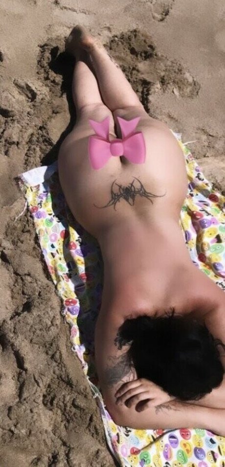 Paulaisrotting hd freie fotos