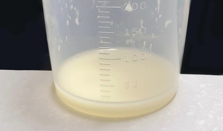 Karazu karazu perfekte beste galerie