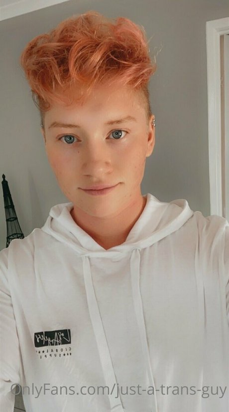 just a trans guy Profilbild