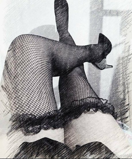 liliveil666 perfekte hd bild