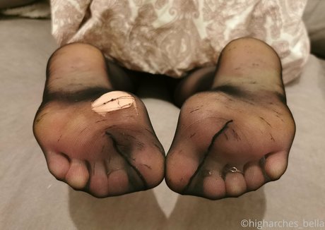 higharches bella kostenlose erotische galerien