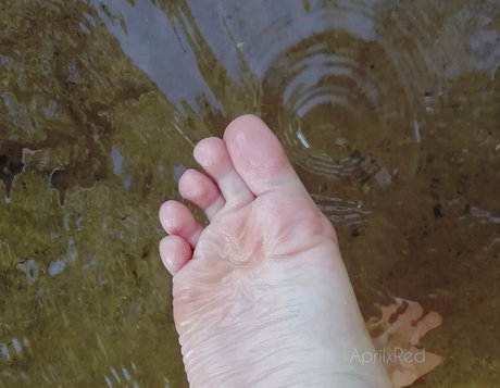 aprilxredfree porno erwachsene archiv