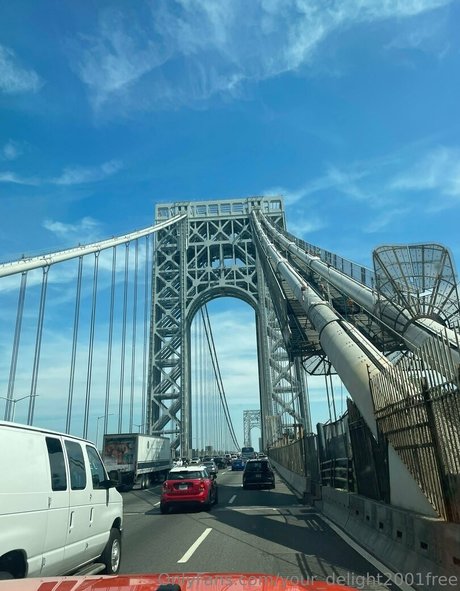 your delight2001free Profilbild