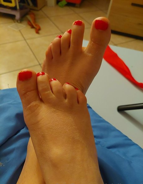 lalollymoni Profilbild