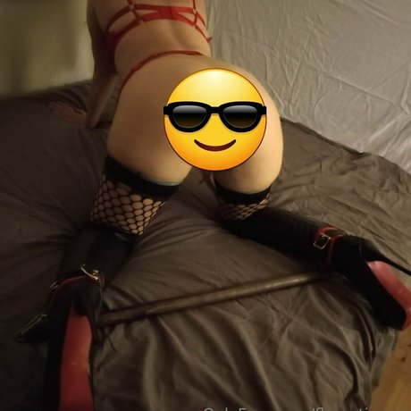 flyvertinnen hd galerie