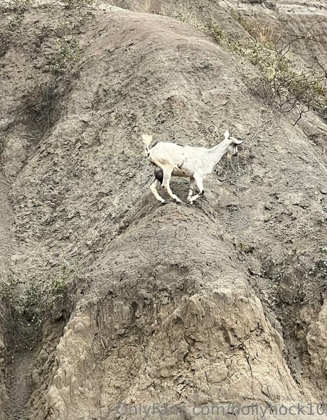 suuuuuki nacktheit akt bild