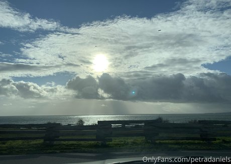 petradaniels beste kunst bild