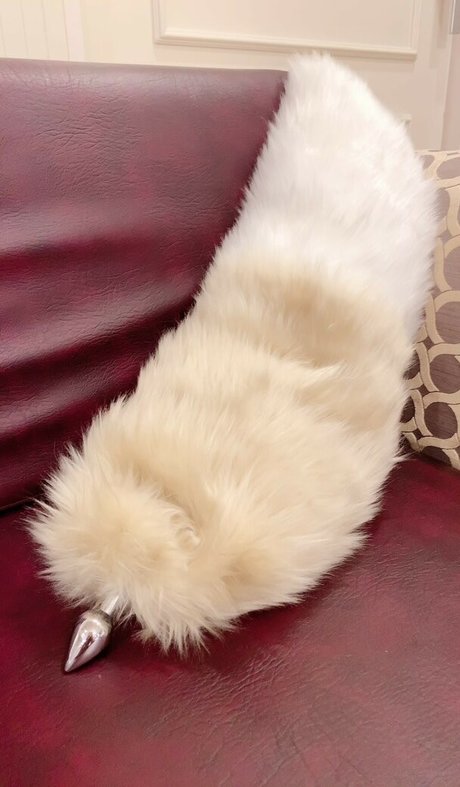 Glossy Rabbit top hd bilder