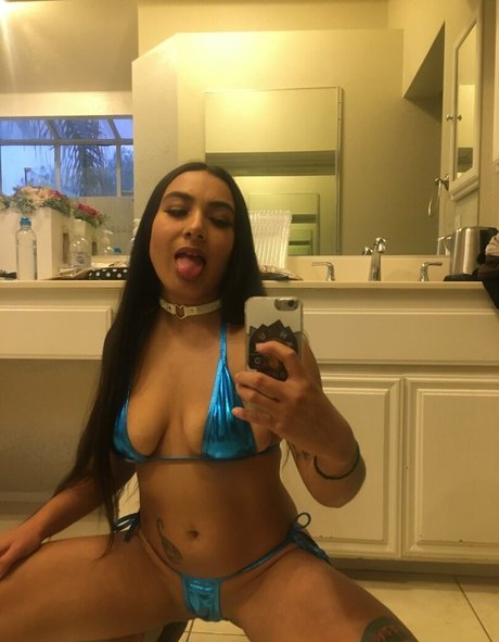 cybcin top xxx archiv