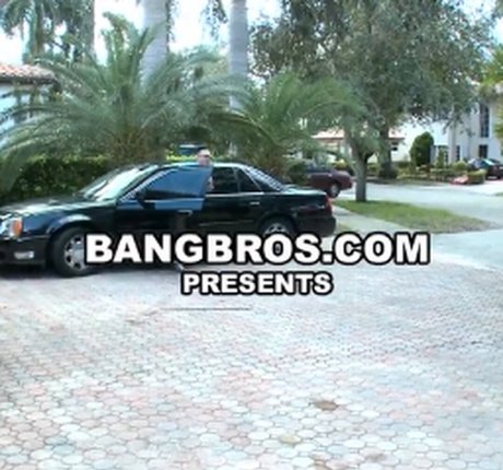 Rebeca Linares kunst exklusive archiv