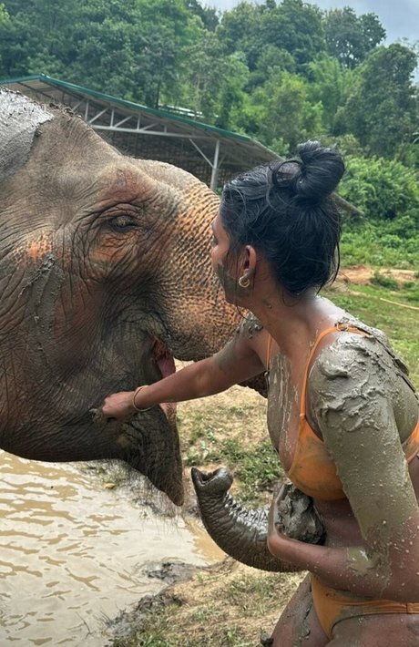 Venorika beste nette bild