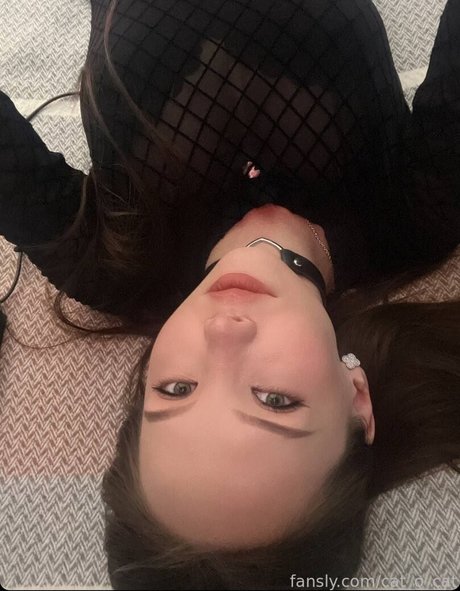 Cat o cat kunst exklusive bilder