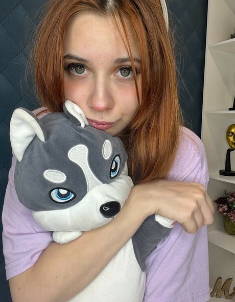 Dasharkiss hd kostenlose galerien