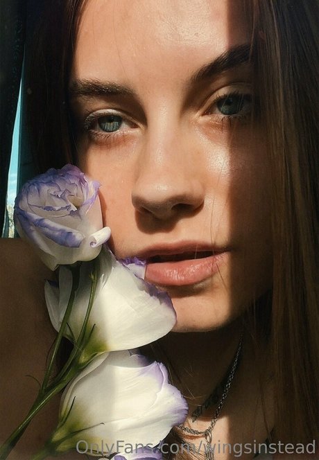 dollynextdoor top akt archiv