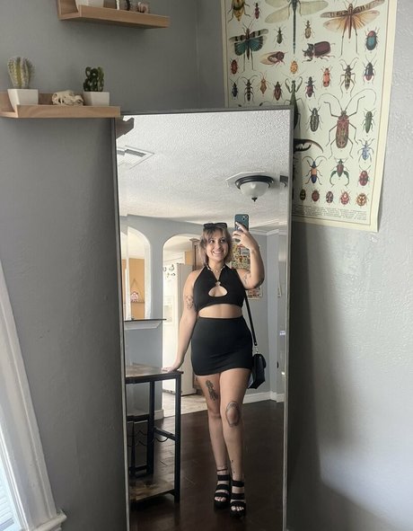 steph freie hd archiv