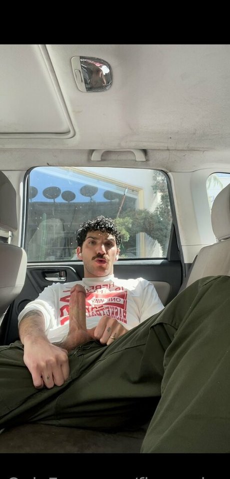 fkagordon beste perfekte foto