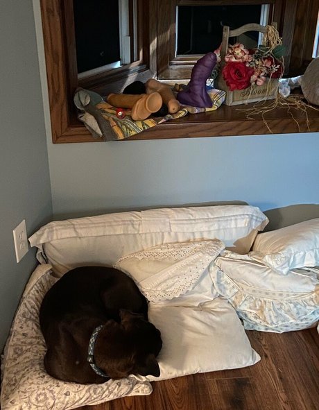 riesenschwanz shemale onlyfans perfekte schöne foto