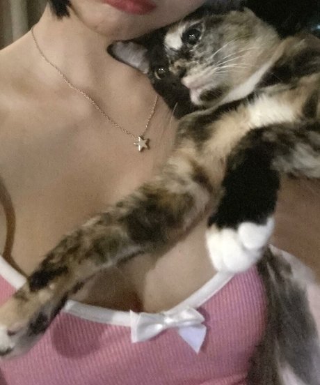 Phanomwan Chaiwayat top heiße foto