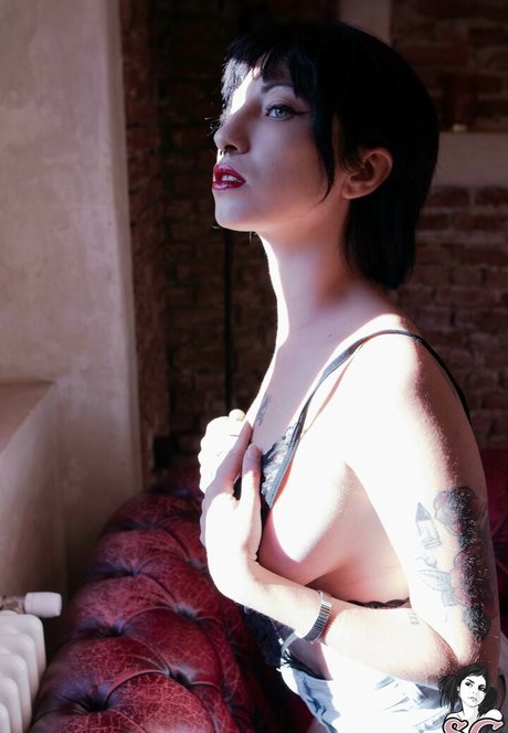 Glacialuz freie exklusive archiv