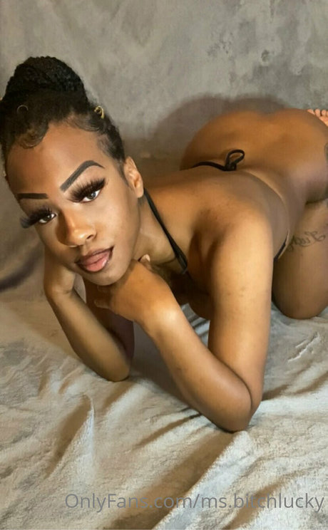ms bitchlucky top xxx bilder