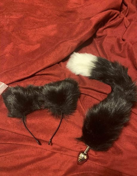 ellilah eve pornostar top galerien