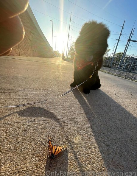 leahsade sexy nackt foto