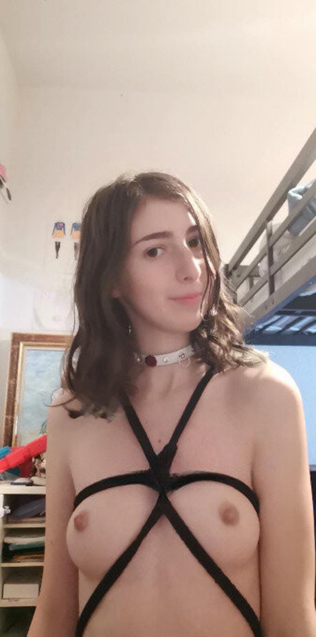 Maeva ls kunst nette archiv