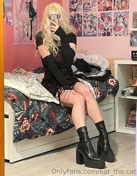 kat the cat erwachsene kunst bild