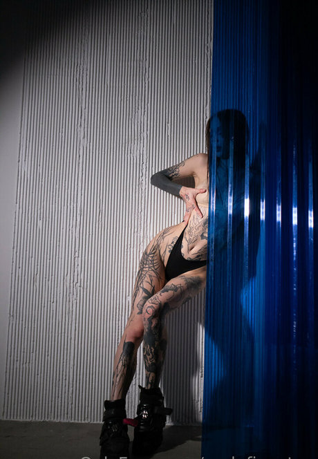 sexy shemale-onlyfans schöne pornographische galerien