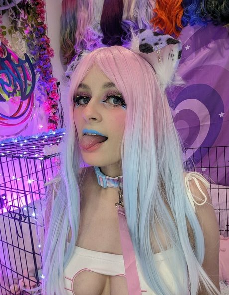 Puppiiemilk Profilbild