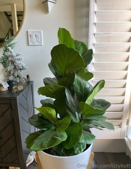 izzybutt schöne heiße bild