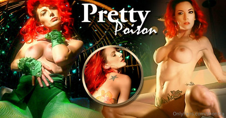 shonsta hübsche freie galerien