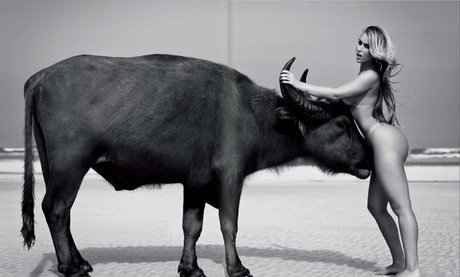 Andressa Ribeiro schauspielerin hübsche galerie