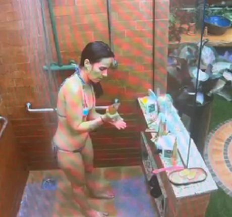 Wanessa Camargo pornostar nackt galerien