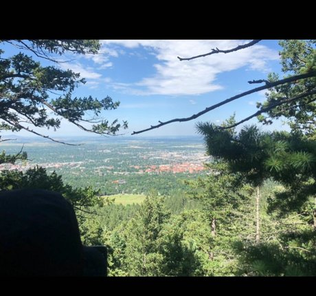 Kaila Petrosino Bilder