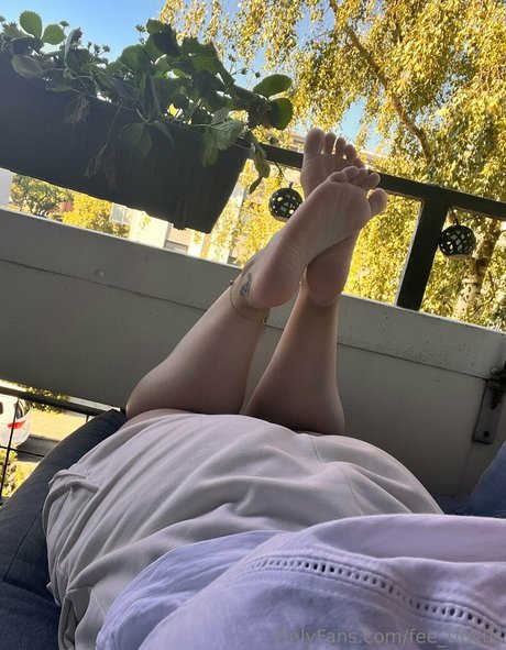 fee tfocus top sexy bild